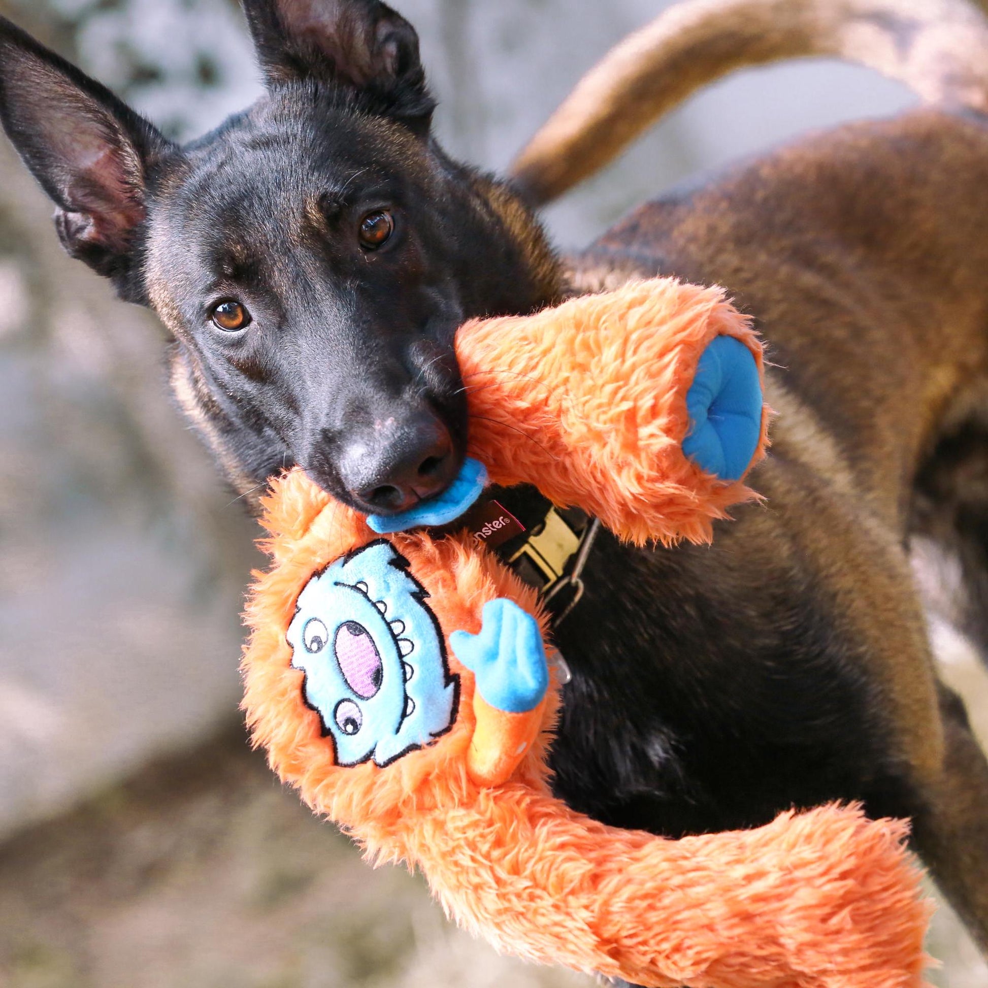 Cuddly Plush Dog Chew Toy - Hilarious Long Legged Squeaky Fun/Cute Dog Toy/Durable Dog Toy/Funny Dog Toys/Interactive Games of Tug and Fetch