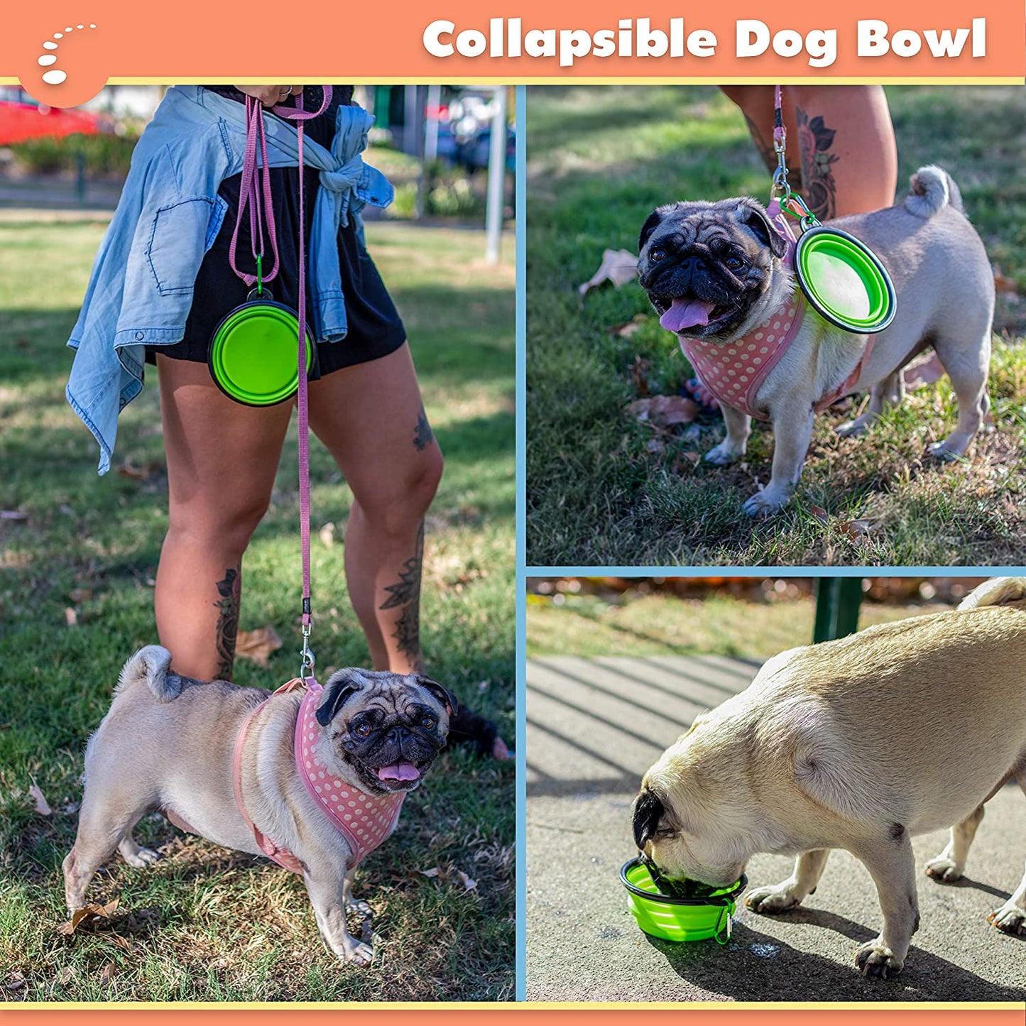 Zenify Puppy Dog Toys Gift Box - Pet Interactive Dog Rope Toy Starter Set - Tug Cotton Fetch Ball Rubber Training Puppies Play Grooming Glove Portable Travel Bowl