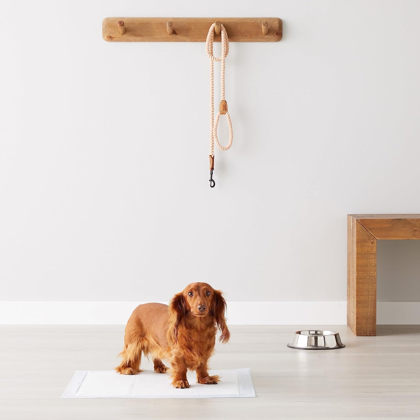 Dog and Puppy Pee Pads – 5-Layer Leak-Proof, Super Absorbent, Quick-Dry Potty Training Pads | Regular 22x22” | 100 Count, Blue & White