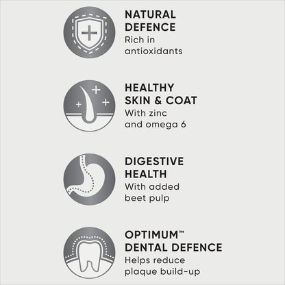 Adult Chicken with Vegetables and Rice Dry Dog Food, 15 Kg