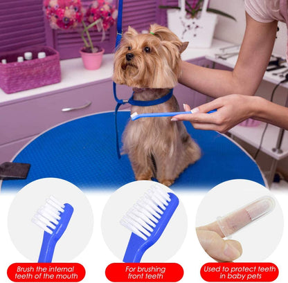 Set of 15 Pet Toothbrushes – 5 Dual-Headed Dog & Cat Toothbrushes + 10 Finger Toothbrushes | Red, Blue, Pink, Orange