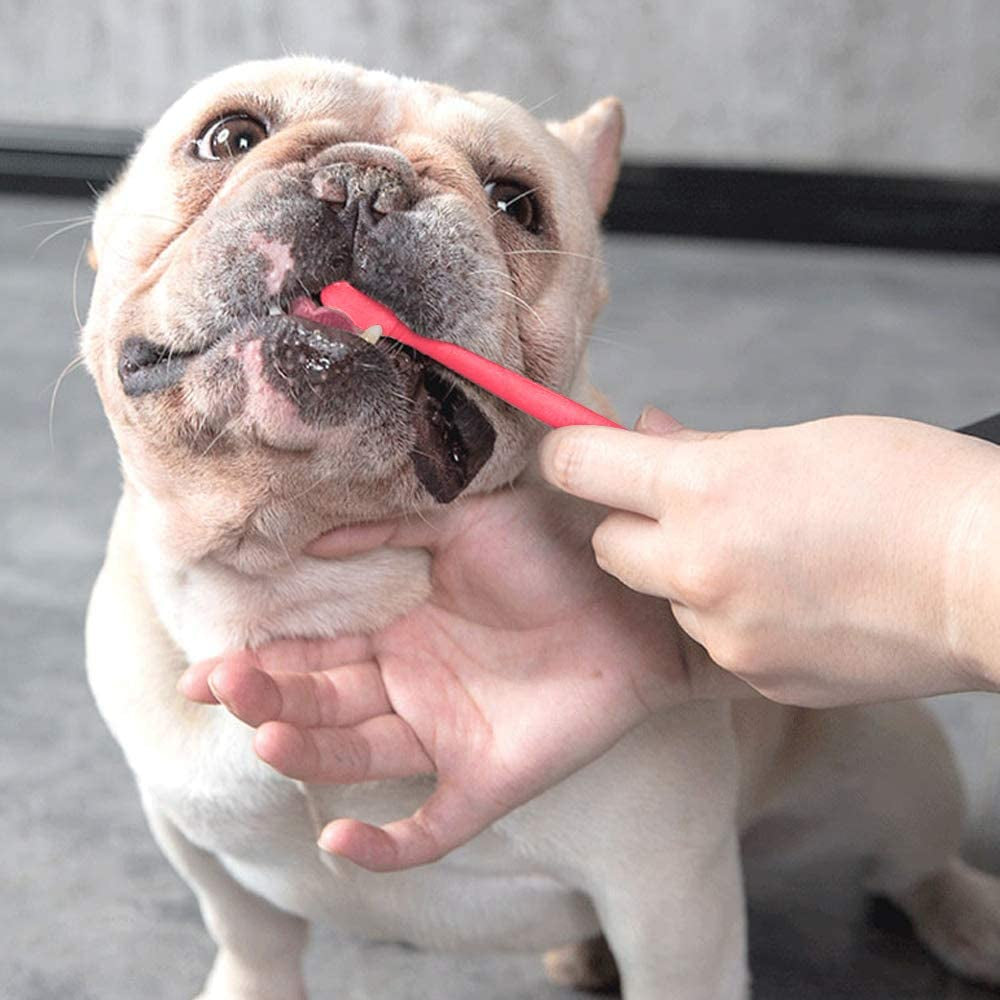 Set of 15 Pet Toothbrushes – 5 Dual-Headed Dog & Cat Toothbrushes + 10 Finger Toothbrushes | Red, Blue, Pink, Orange