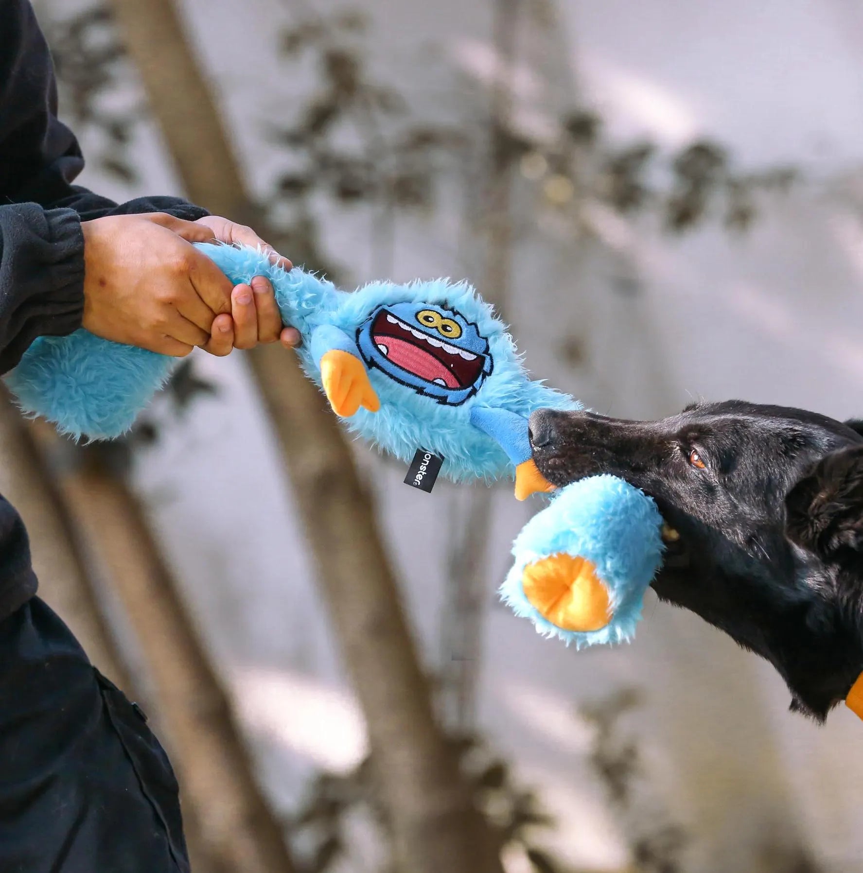 Cuddly Plush Dog Chew Toy - Hilarious Long Legged Squeaky Fun/Cute Dog Toy/Durable Dog Toy/Funny Dog Toys/Interactive Games of Tug and Fetch