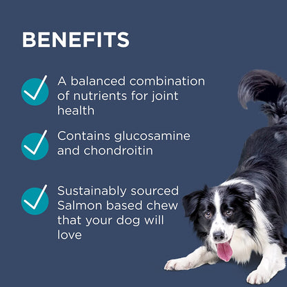 PAW by  Osteocare® Joint Protect for Dogs | Improves Joint Function & Mobility |100 Chews