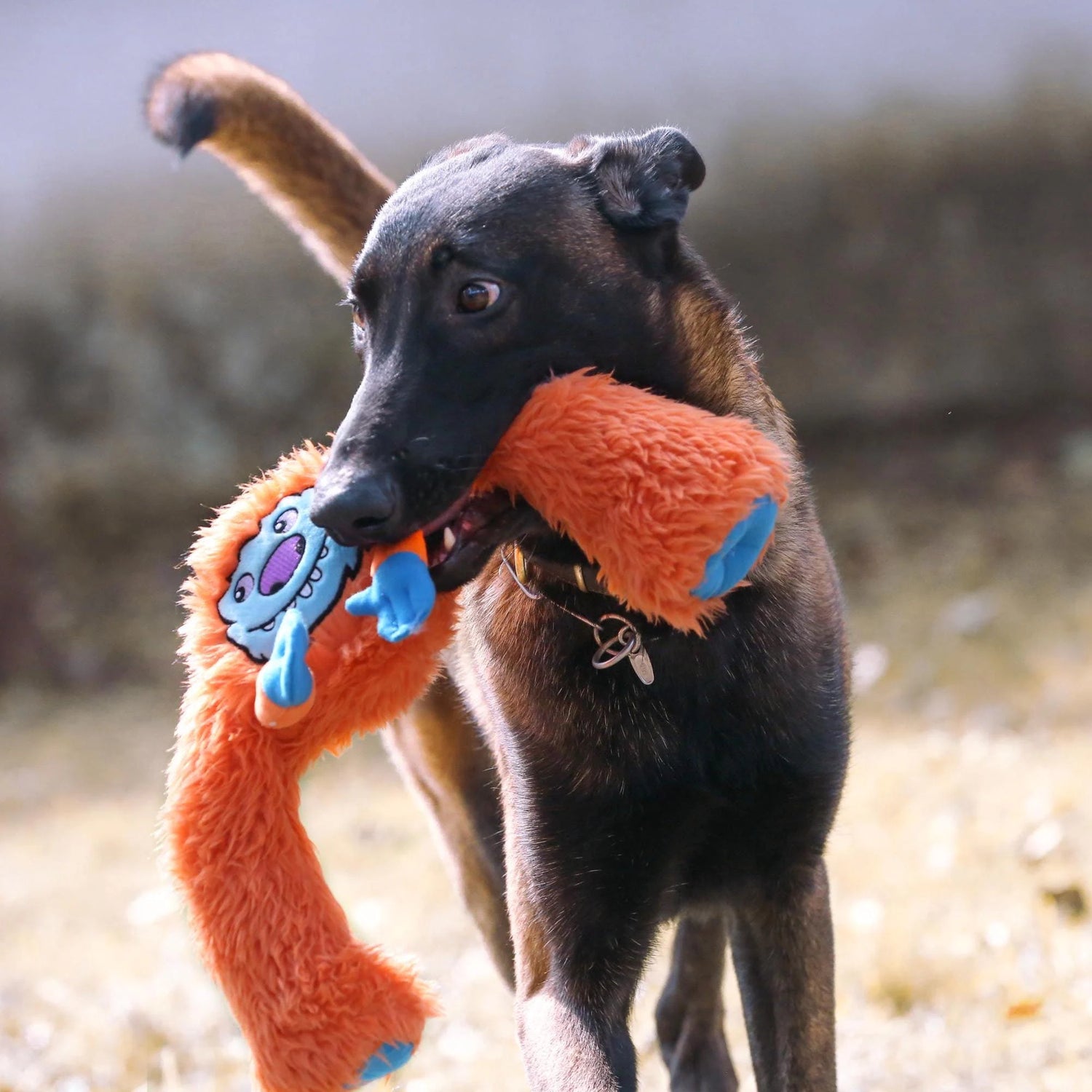 Cuddly Plush Dog Chew Toy - Hilarious Long Legged Squeaky Fun/Cute Dog Toy/Durable Dog Toy/Funny Dog Toys/Interactive Games of Tug and Fetch