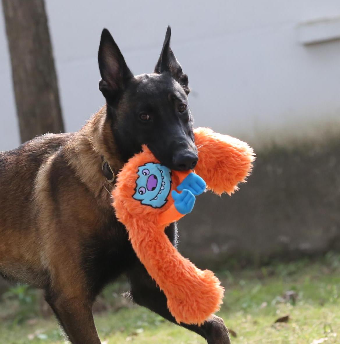 Cuddly Plush Dog Chew Toy - Hilarious Long Legged Squeaky Fun/Cute Dog Toy/Durable Dog Toy/Funny Dog Toys/Interactive Games of Tug and Fetch