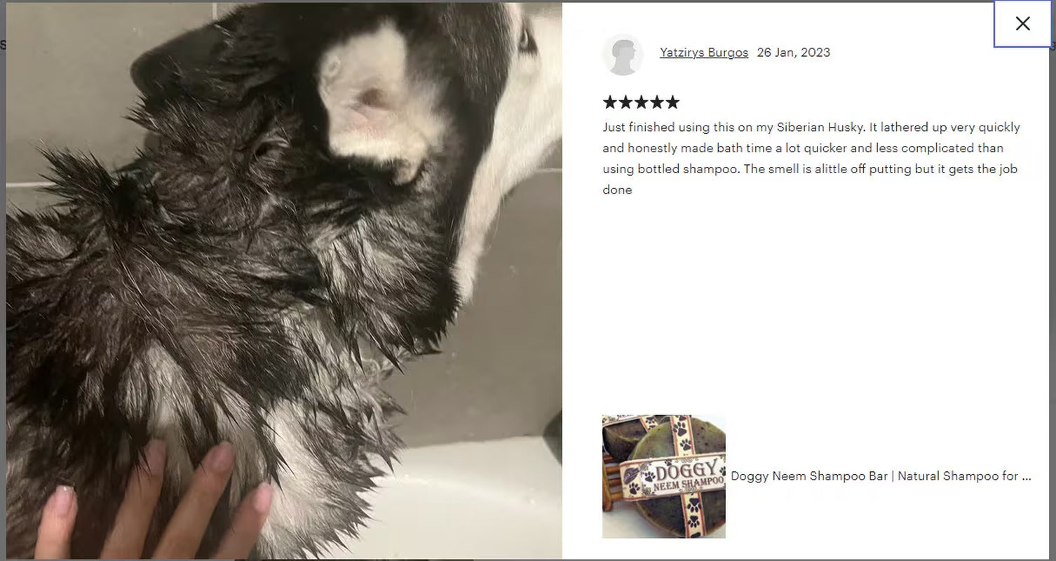 Dog Shampoo Bar with Rosemary