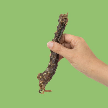 King Lou Whole Duck Neck Dental Treats for Dogs, Single Ingredient, Human Grade, 100% USA, All Natural, Minimally Processed Pet Products Food Supplies