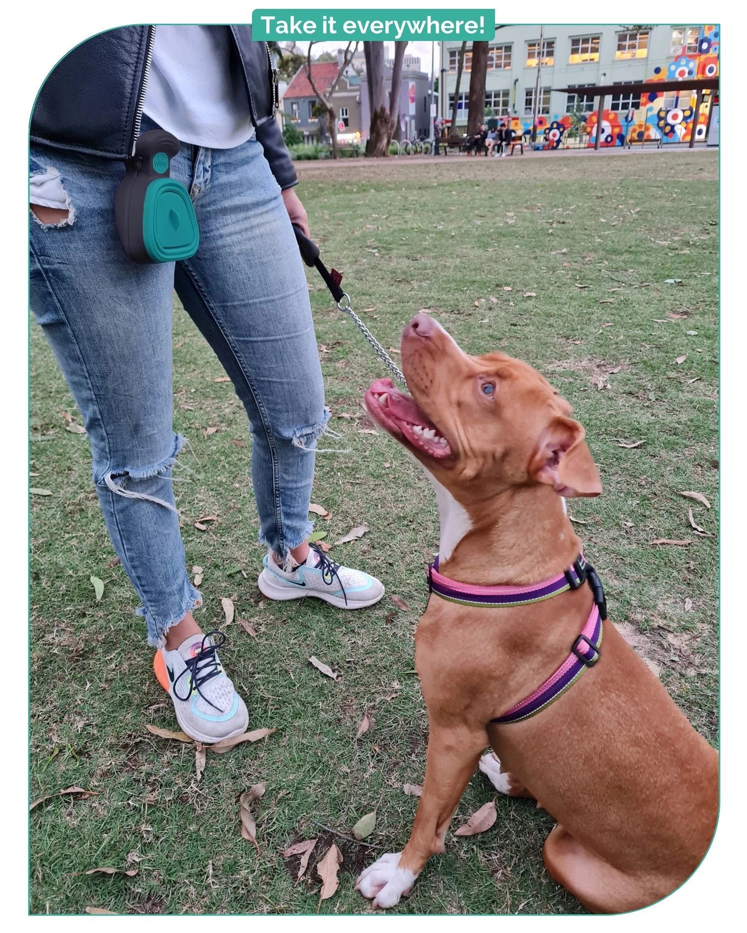 Monptit Pooper Scooper, Portable Sanitary Dog Poo Pick up with Bag Dispenser, for Large Medium Small Dogs Cat or Pet, Durable (Medium)