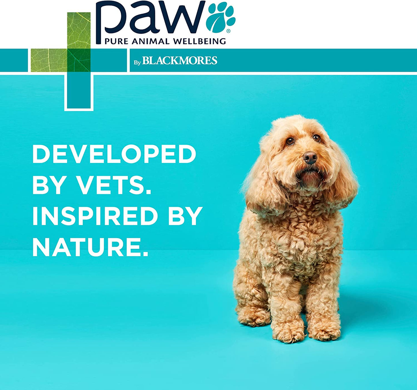 PAW by  Osteocare® Joint Protect for Dogs | Improves Joint Function & Mobility |100 Chews