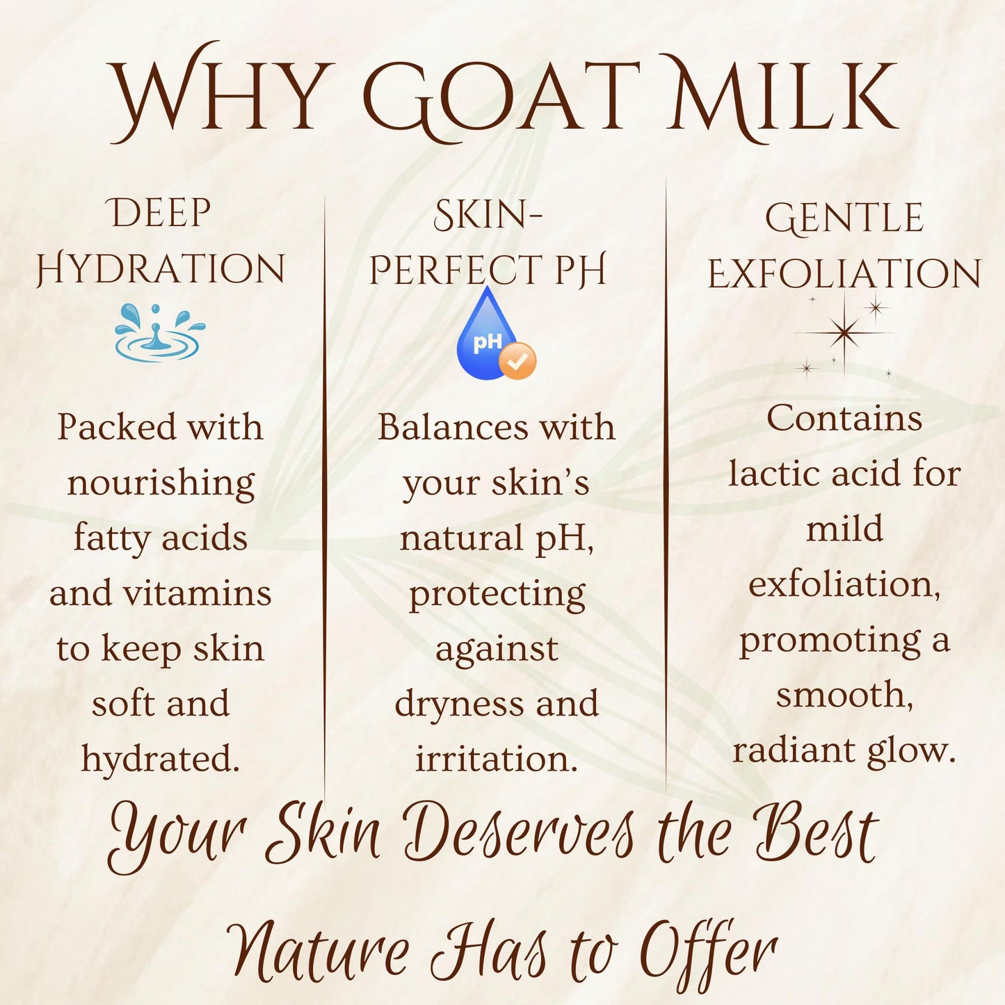 Goat Milk Dog Shampoo Natural Ingredients for Dogs with Sensitive Skin Hydrating Relief for Dry Itchy Skin and Hot Spots