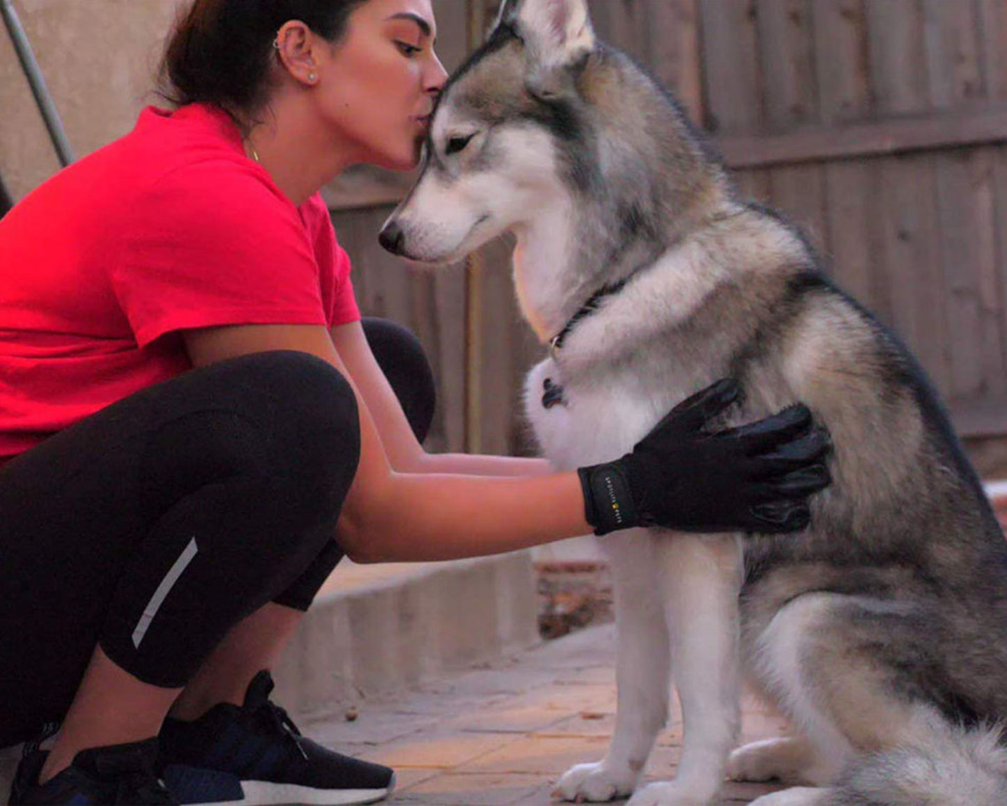 Premium Grooming Glove - SPOTLITE PETS