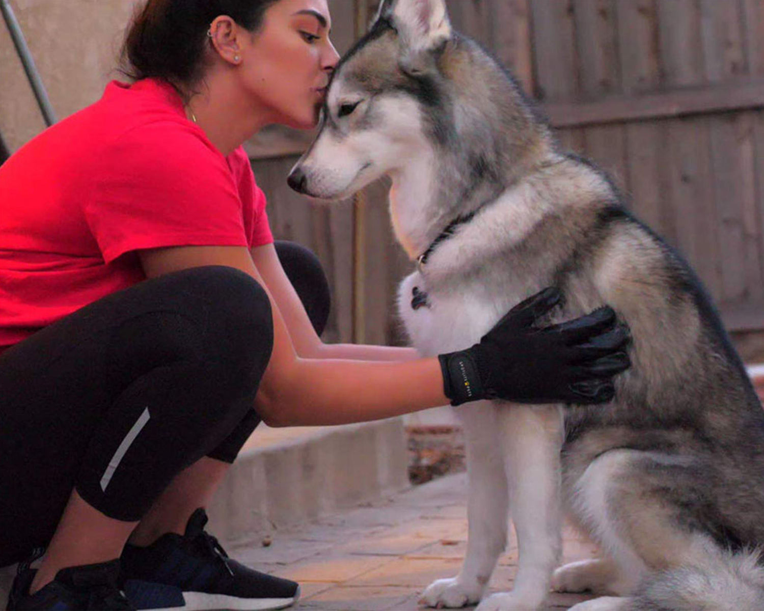 Premium Grooming Glove - SPOTLITE PETS