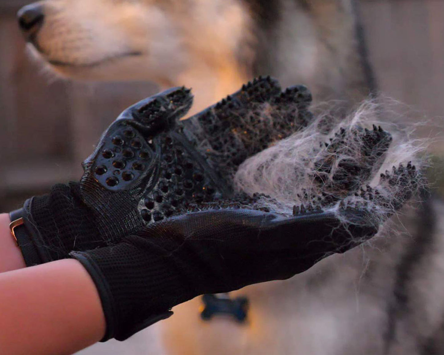 Premium Grooming Glove - SPOTLITE PETS