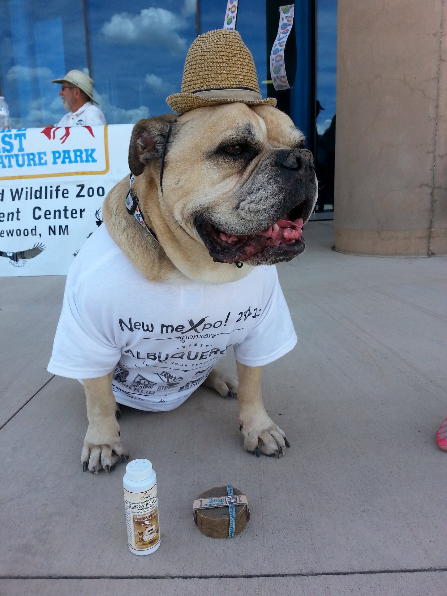Dog Shampoo Bar with Rosemary