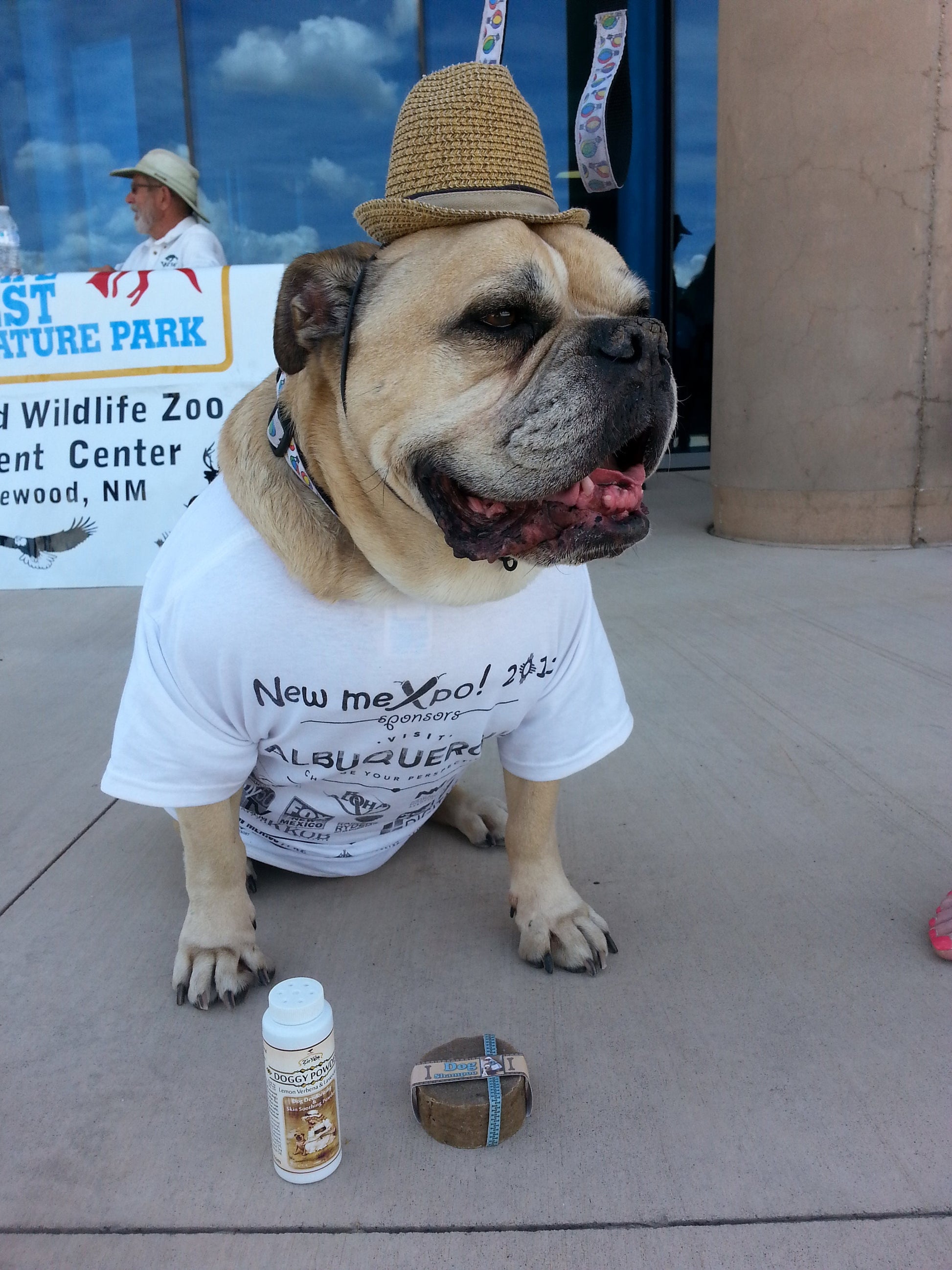 Dog Shampoo Bar with Rosemary