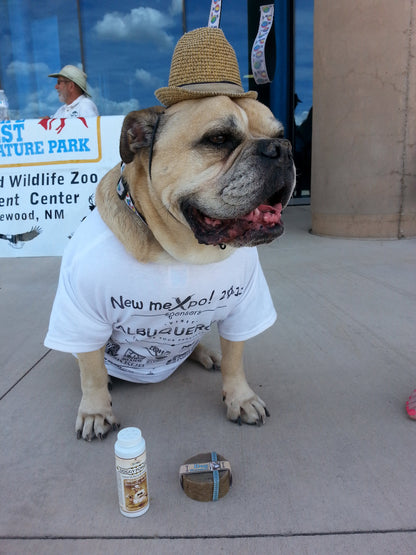 Dog Shampoo Bar with Rosemary