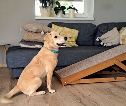 Adjustable Dog Ramp, Modern Cat Stairs, Foldable Pet Steps