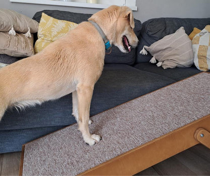 Adjustable Dog Ramp, Modern Cat Stairs, Foldable Pet Steps