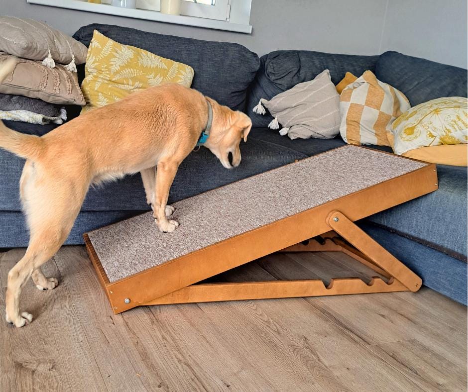 Adjustable Dog Ramp, Modern Cat Stairs, Foldable Pet Steps