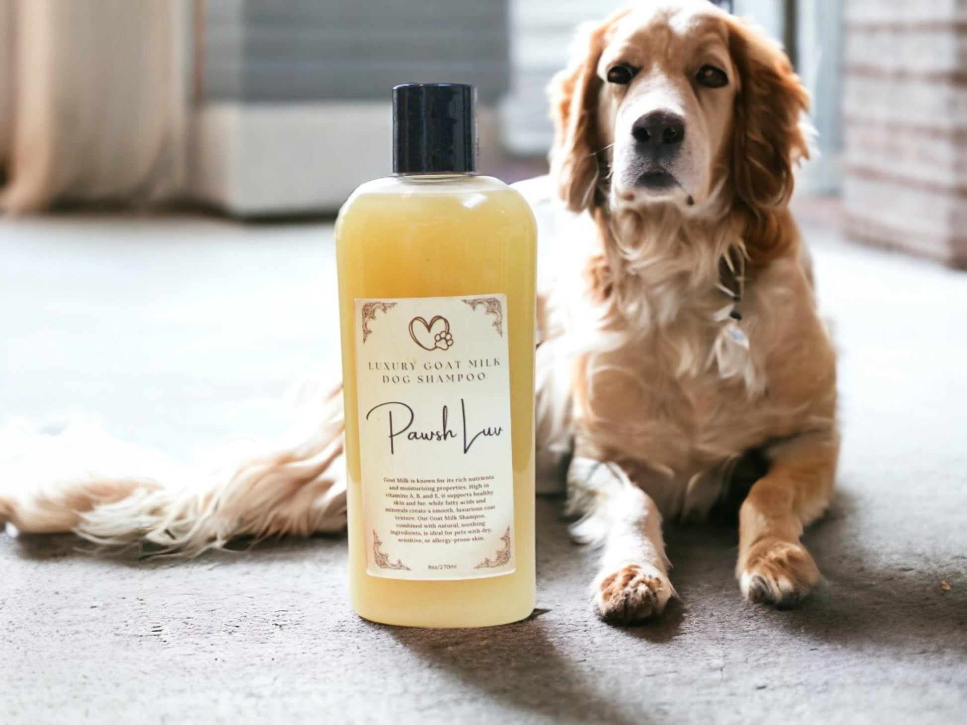 Goat Milk Dog Shampoo Natural Ingredients for Dogs with Sensitive Skin Hydrating Relief for Dry Itchy Skin and Hot Spots