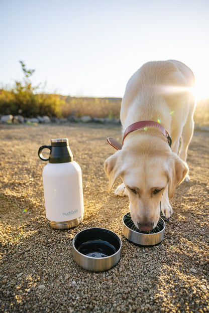 Hydropet Dog Water Bottle: Stainless Steel with Dual Bowls & Neoprene Bag