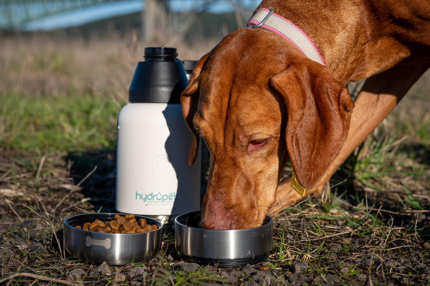 Hydropet Dog Water Bottle: Stainless Steel with Dual Bowls & Neoprene Bag